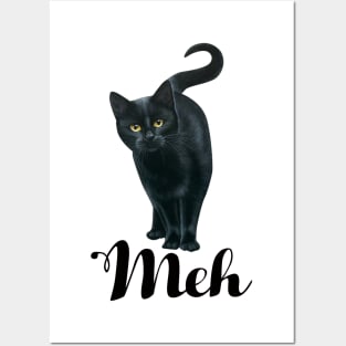 Funny Meh Cat Posters and Art